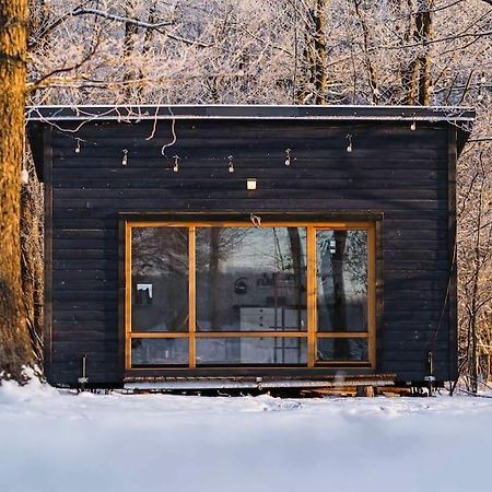 Beautiful Tiny House On The Lake Side. Trakai Eksteriør billede